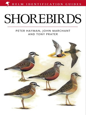 cover image of Shorebirds